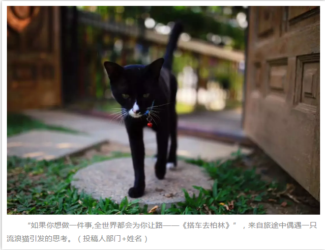 �۲��á�(�й���)���޹�˾����